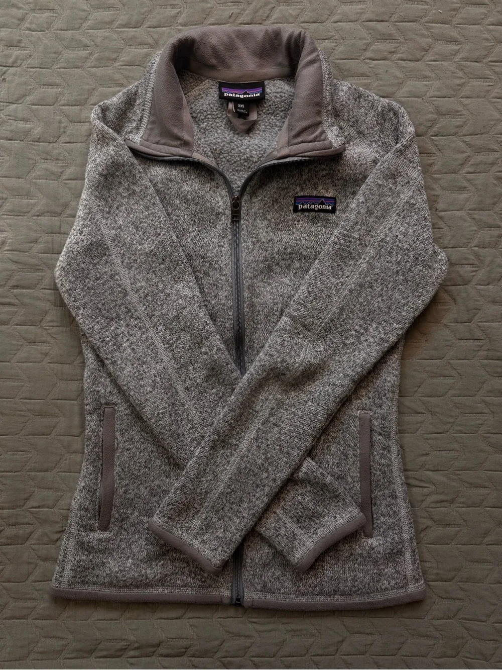 Patagonia Heather Gray Full-Zip Fleece Jacket